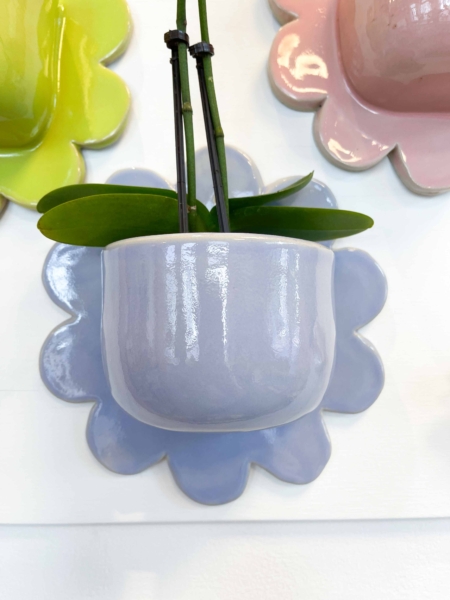 wandravioli bloem lavendel